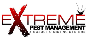 Extreme Mosquito